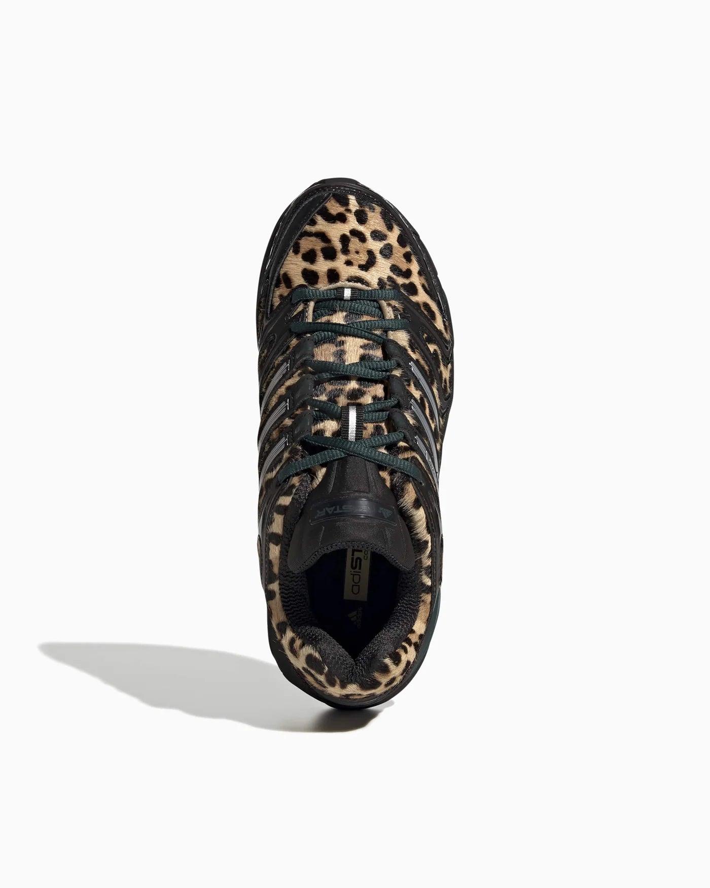 adidas Adistar Control 5 Leopard Aurora Ivy Black (Women's)