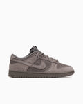 Nike Dunk Low Retro SE Cave Stone