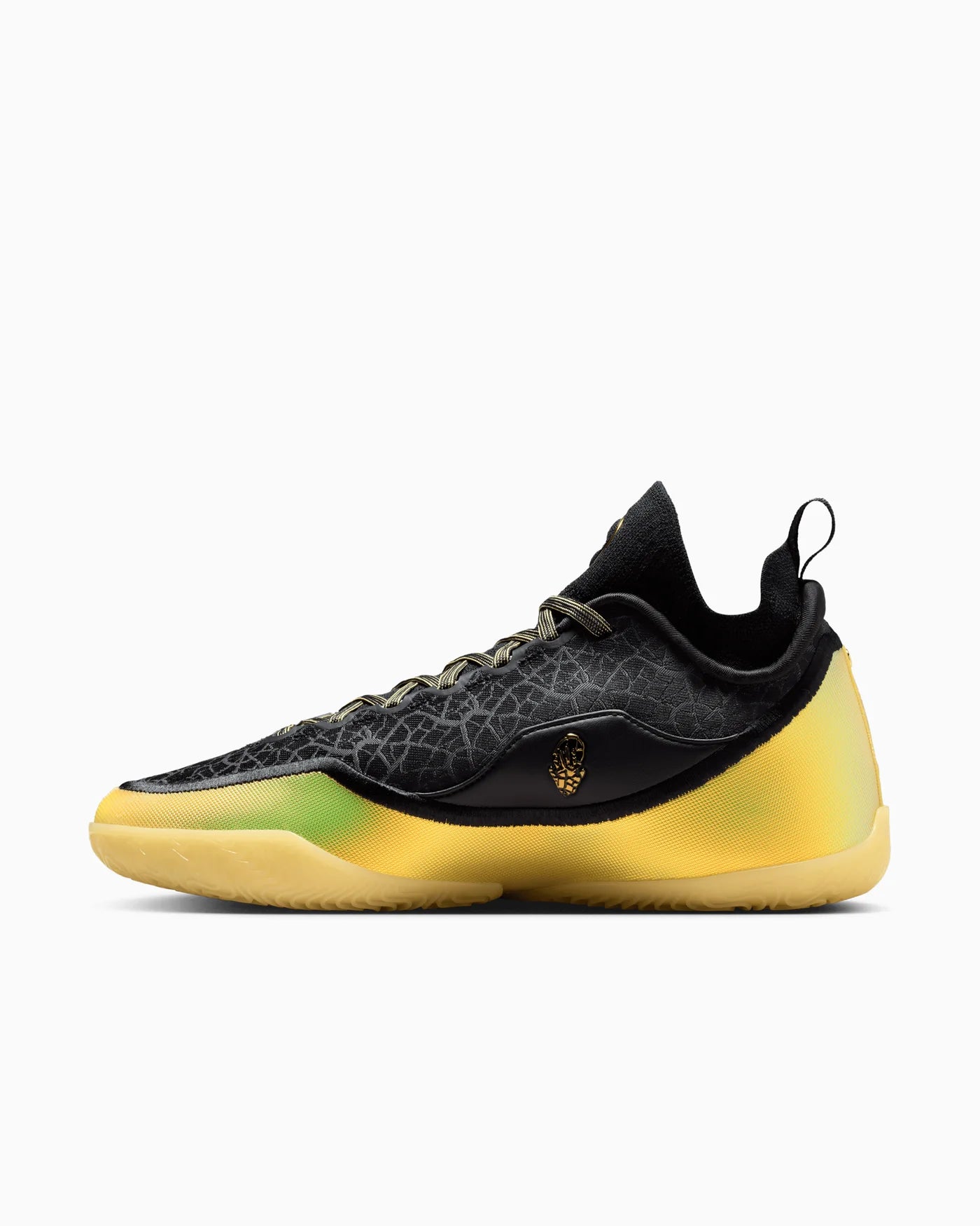 Nike LeBron 23 Elite Hurt Feelings Write History